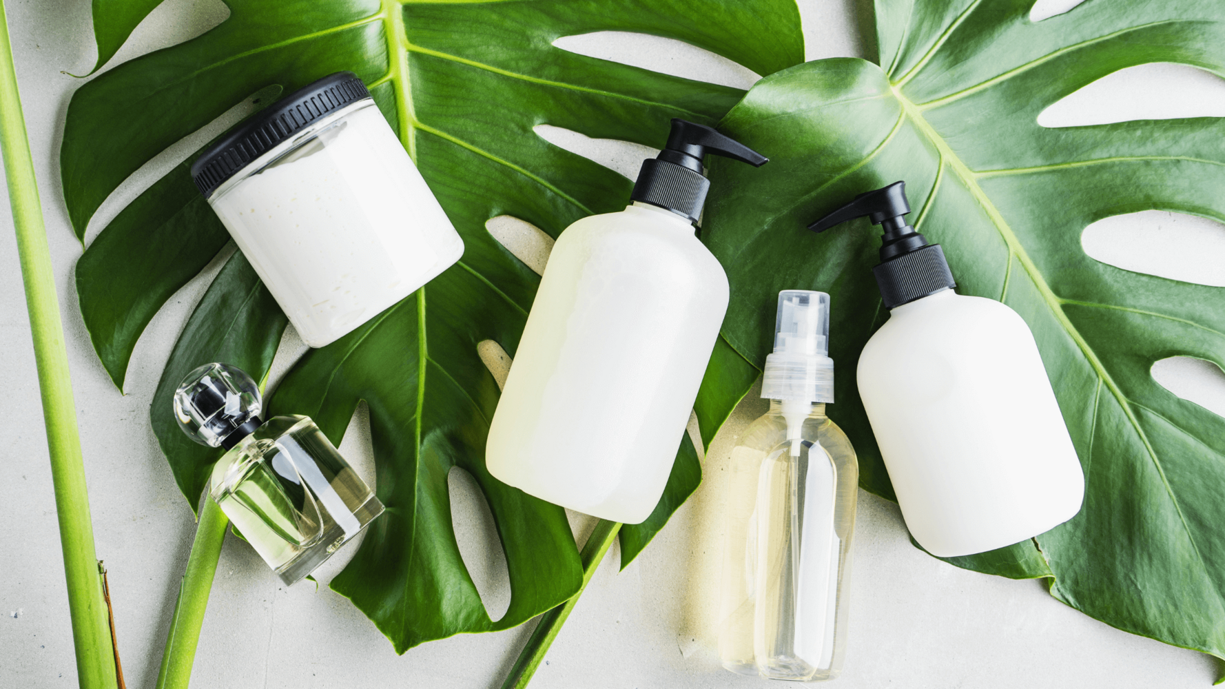 beauty products on top of a green leaf for blog about healthy & beauty photography